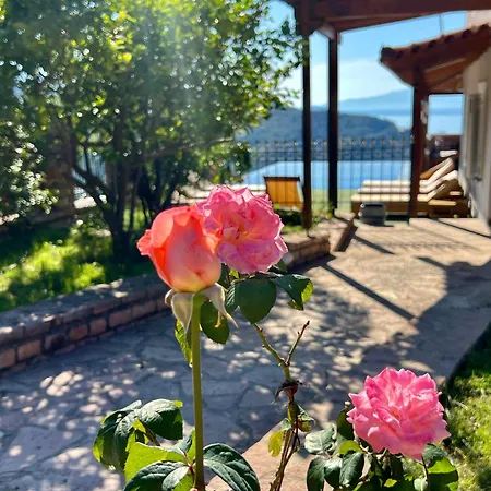 Elezi Piqeras 홈스테이 *