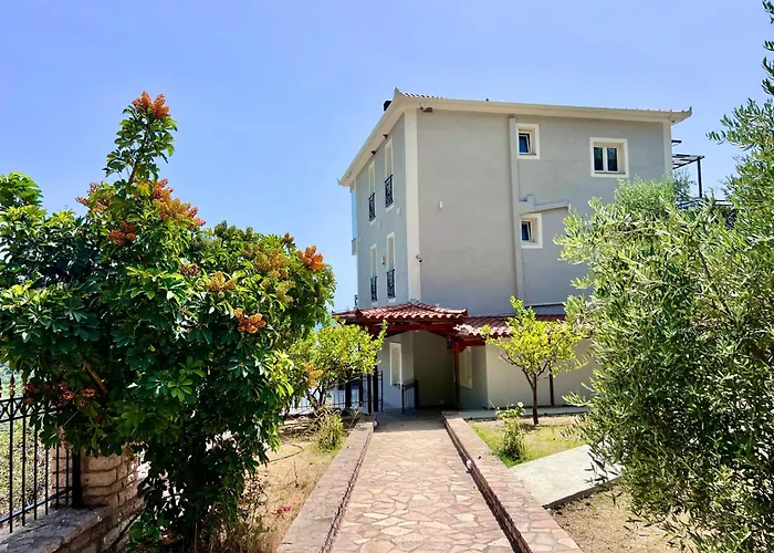 Elezi Piqeras 博尔什