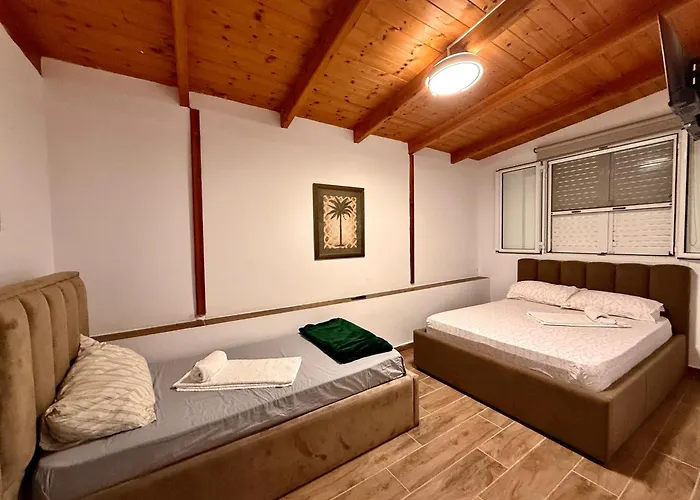 Elezi Piqeras 博尔什