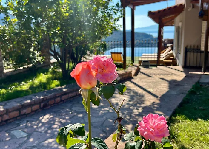 Elezi Piqeras Séjour chez l'habitant *